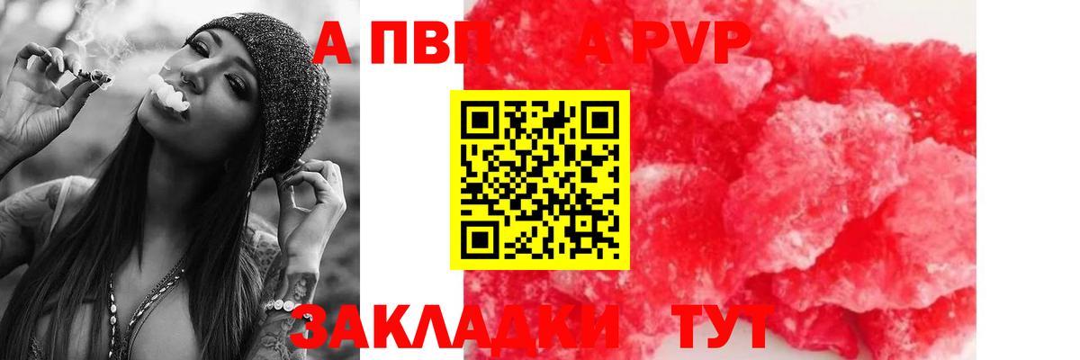 Alfa_PVP СК Мончегорск