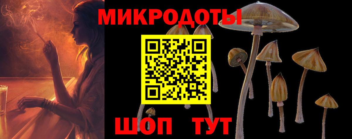 Галлюциногенные грибы Psilocybine cubensis Мончегорск